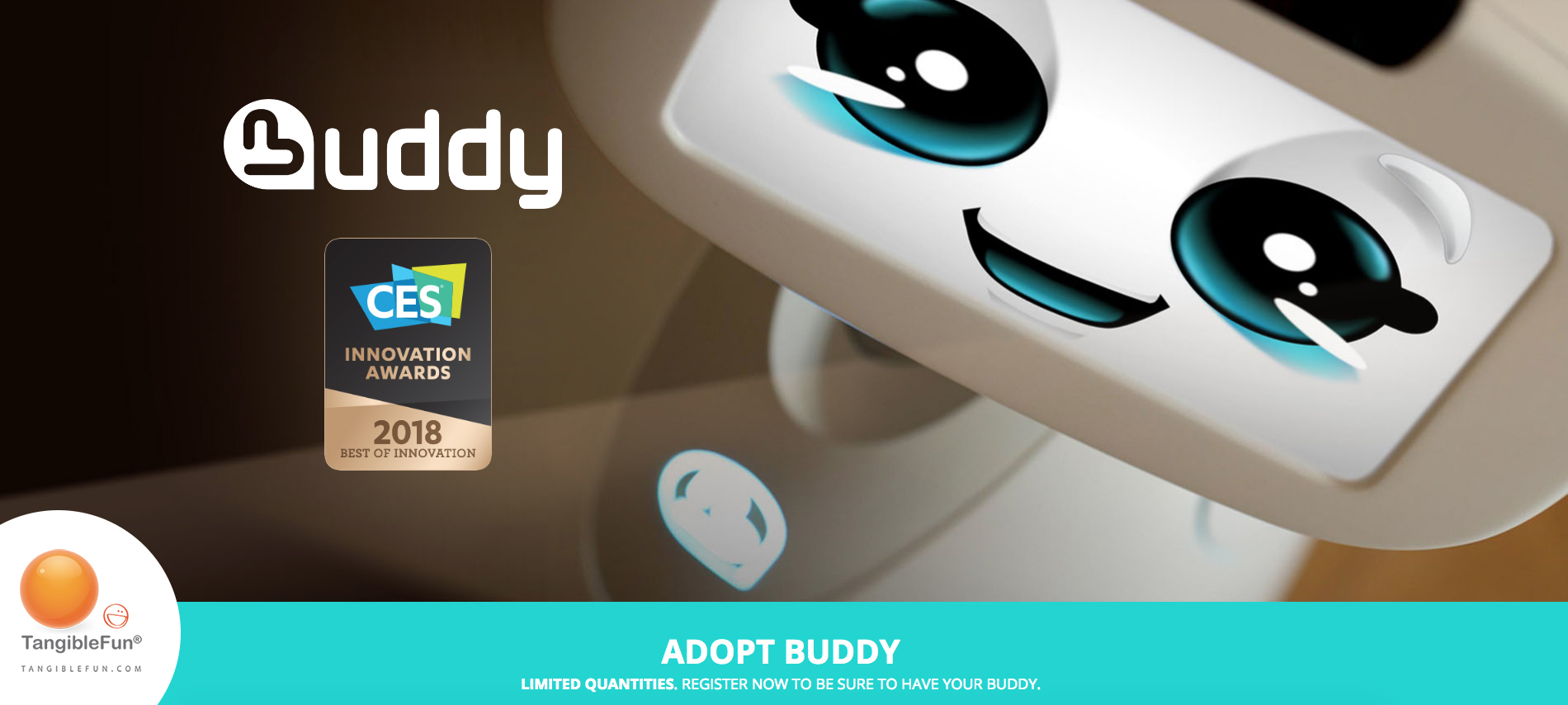 Social Robot Buddy