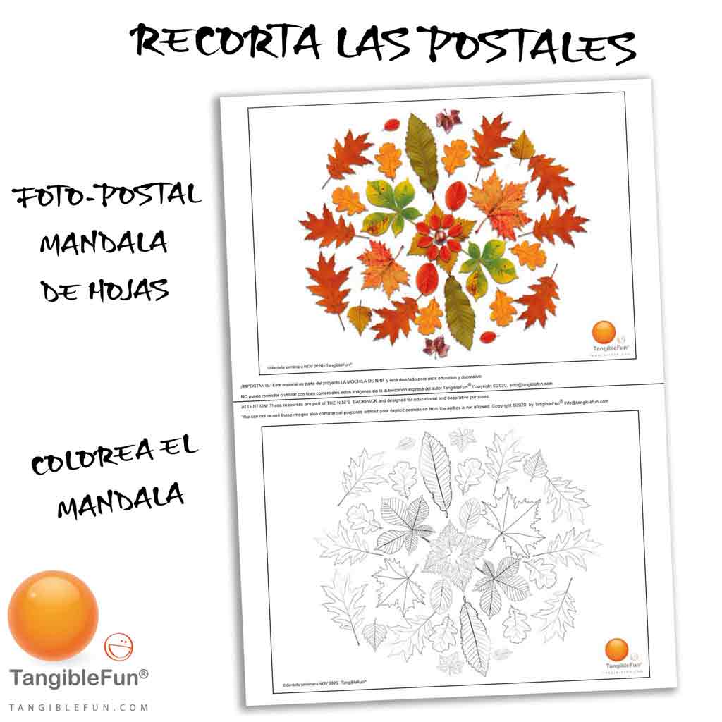 Fichas de Otoño, colores, hojas y mandalas – TangibleFun